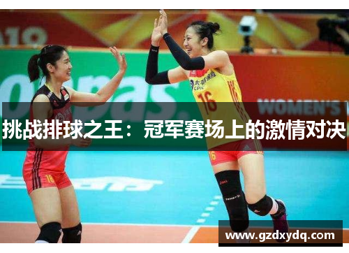 挑战排球之王：冠军赛场上的激情对决