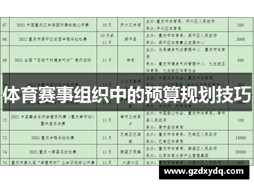 体育赛事组织中的预算规划技巧