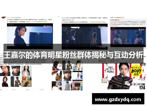 王嘉尔的体育明星粉丝群体揭秘与互动分析
