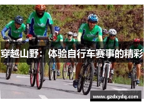 穿越山野：体验自行车赛事的精彩