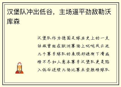 汉堡队冲出低谷，主场逼平劲敌勒沃库森
